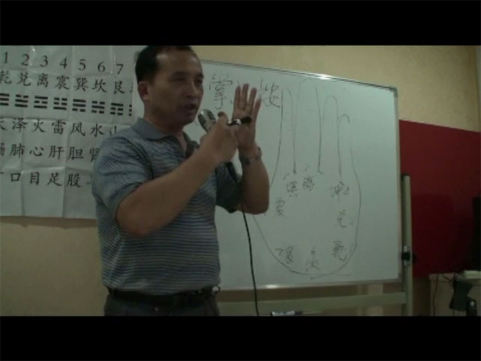 章柏清2011年7月北京八卦象数疗法面授班视频5集