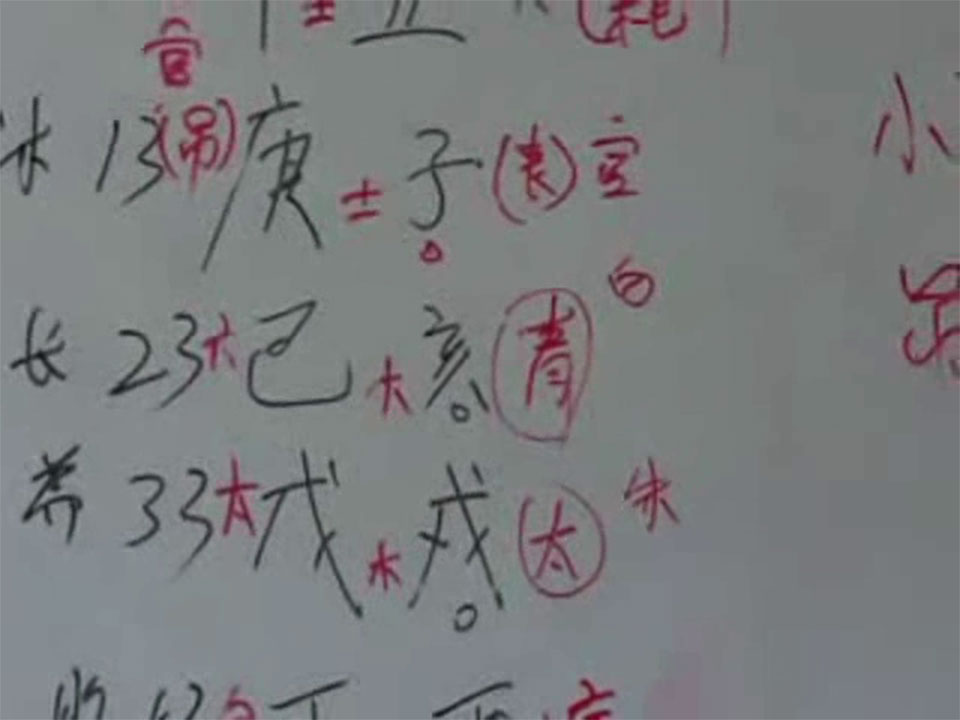 苏国圣符咒/小成图/八字视频4集+24本资料