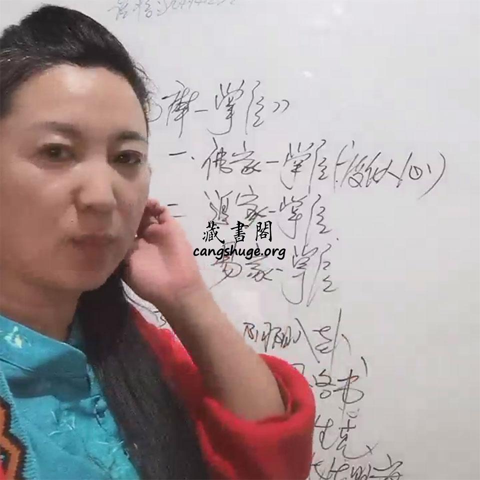 李培袀达摩一掌经直播视频46集